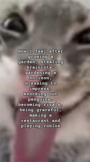 #roblox#fypシ #fypシ゚viral #fyp #aesthetic #howifeel #matadora #foryou #preppy #cutecats #cute #cats