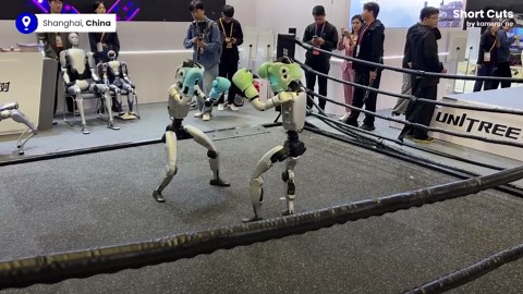 AI-controlled robots fight in boxing match at Shanghai expo