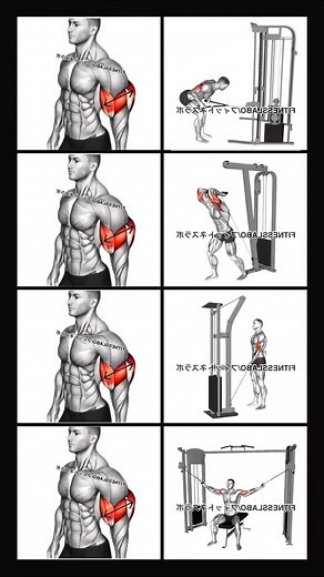 3.1K views · 42 reactions | Exercises to get Big Arms  | Fit Pro | Facebook