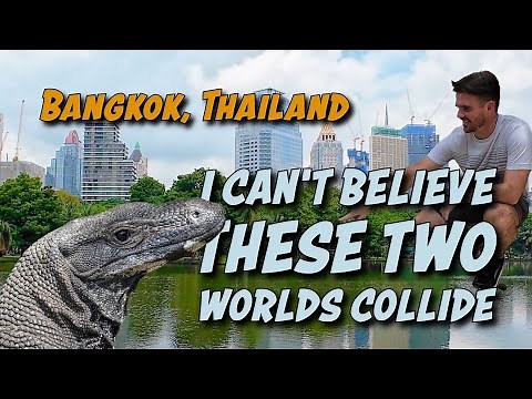 The world's biggest lizards are located in Bangkok Thailand
