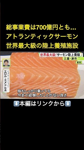 ⬆️本編はリンクから⬆️総事業費約700億円とも…世界最大級のアトランティックサーモン陸上養殖施設 27年末頃からの出荷目指し建設進む#shorts