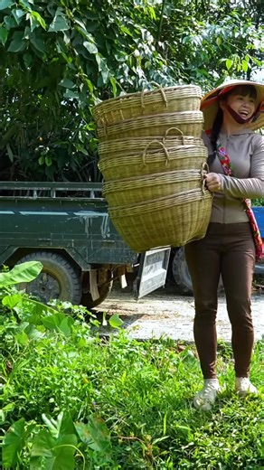 Successful Turkey Farming: 266 Days of Raising Turkeys