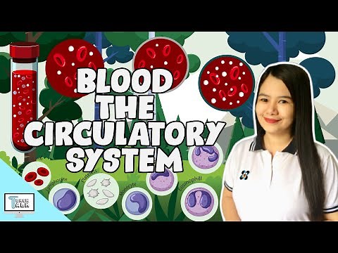 Blood | The Circulatory System | Biology