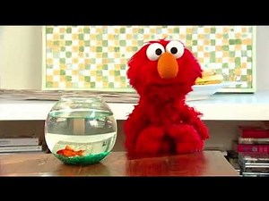 The Furchester Hotel Elmo And Dorothy 2026