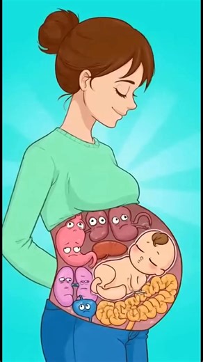 724K views · 2.4K reactions | When the Baby Takes over Mom’s Organs | Funny pregnancy Animation | 藍藍藍 #ConceptionTips #healthcare #pregnancy #fblifestyle | BodyLogic 3D | Facebook