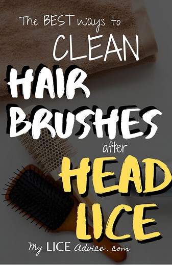 5 Proven Ways to Clean Your Hair Brushes After Head Lice