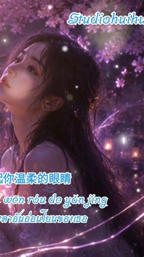 #เพลงเพราะ #เพลงเศร้า #เนื้อเพลงจีน #คำอ่านพินอิน #chinesesong #เพลงจีน