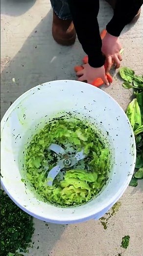 Using a vegetable shredder for fast and even cuts