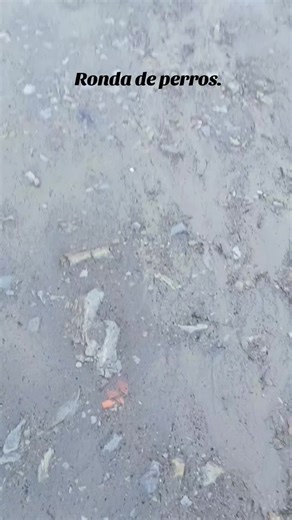 Call of Duty Zombies Memes: Fetch Me Their Souls