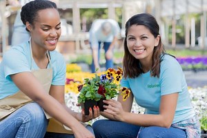 How Do You Take Care Of Potted Pansies? (Ultimate Care Guide)