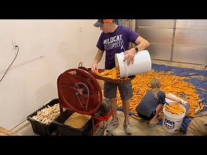 Old Time Corn Sheller Revived - Popcorn