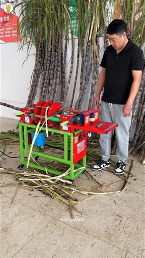 China’s Genius Cane & Plaster Tech 😱 #shorts #viral