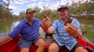 37K views · 278 reactions | Olivia and Scotty are getting out on the Dawson River to catch red claw... It's amazing what a bit of dog food can do! 咽️ See the rest of Scotty and Olivia's Caravanning Queensland road trip at https://bit.ly/RockyToTheDarlingDowns | Creek to Coast | Facebook