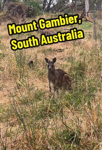 Mount Gambier is a dream 🥰 loved every minute of it!