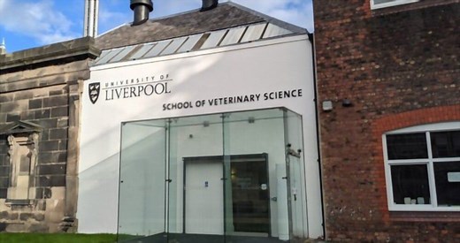 8 Easiest Veterinary Schools for Admission in the U.S. - Academicful