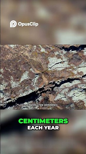 Supercontinent Cycles Earth's Reshaping Explained｜The Evolution of Evolution #facts #lifeonearth