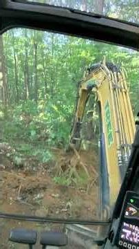 Our cat 306 track excavator moving tree connecting trails