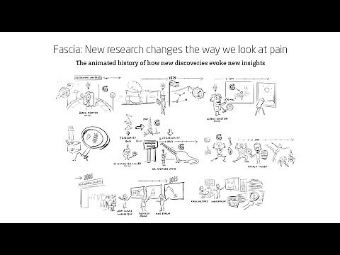 Fascia: What is fascia? New research changes the way we look at pain