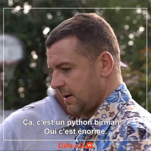 Mathieu Vidard a l'air inquiet 😅 En face de lui se tient un python birman, l'un des plus gros serpents au monde ! ⏰ Suivez ses périples dans la série documentaire "J'ai marché sur la Terre" demain à partir de 20:45 | Ushuaïa TV