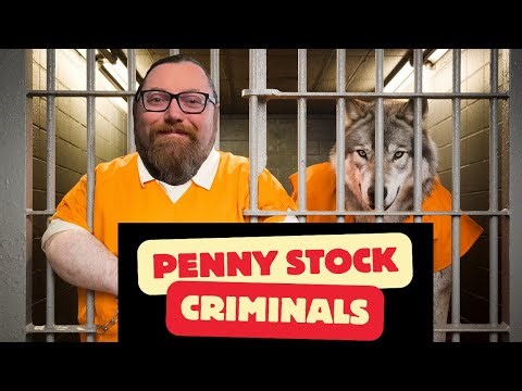 Penny Stock Whistleblower EXPOSES Criminals!