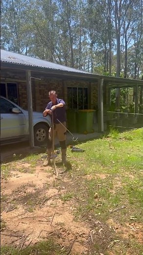 “Removing a Big Snake Safely — Real Life Rescue!”