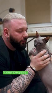 Cat with pain 😭 | Animal chiropractor, osteopath & healer