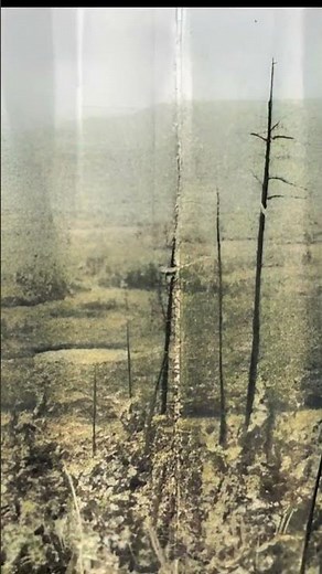 The Morning the Sky Exploded — The Tunguska Event (1908)