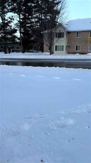 Ecpd squad 37 patrolling