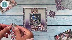 Out Now! Our third Designer Series collaboration, 'Palace Garden', which has been exclusively created in partnership with world renown illustrator, Clare Therese Gray, featuring her iconic hand painted flora and whimsical characters in her unique style. Palace Garden will also be launching on [Create & Craft TV](https://www.facebook.com/CreateandCraft?__cft__[0]=AZXXZjI7FjeGgRXuaGYC6vB_EzE1CkKRaxWGWbn7vcPmzGg1LQsCZtGw6dhiM8rQR1vflkX5mWqqvckmGrgZ7Xd7EmiDggchZ7dI-79jcr_5ofV7CYoEZ5-8kYzrSHQhBvzp6-q