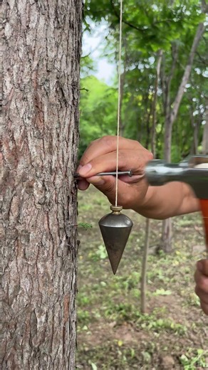Wow, Brilliant Plumb Line Trick!