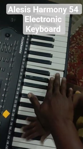 Alesis Harmony 54 Electronic Keyboard