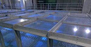 Storm simulator recreates Category 5 hurricane conditions