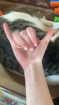 Sign language alphabet