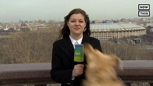A reporter in Moscow had her weather report interrupted when a dog jumped into the frame and stole her microphone live on the air. Not only was Nadezhda Serezhkina able to quickly track down the rogue pooch, she even finished the segment with the dog alongside her 🐶 | NowThis