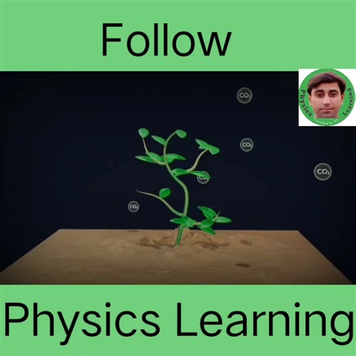 25K views · 524 reactions | Transportation in plants. #physicslearning | Physics learning | Facebook