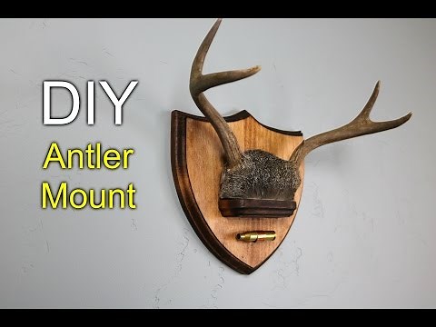 DIY Antler Mount - How to make