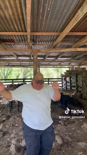 Videos de beton (@beton_gonzalez) con “Show That Flow - El Rey del Monte”