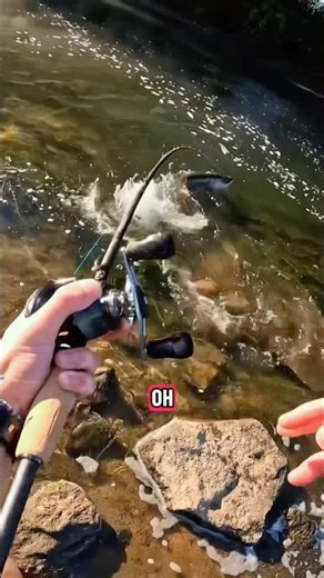 This Muskie ate my bluegill 4 times… I still couldn’t land it #muskie #muskiefishing #ohio #insanity