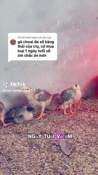 Xu hướng nuôi trồng của Âu Lạc