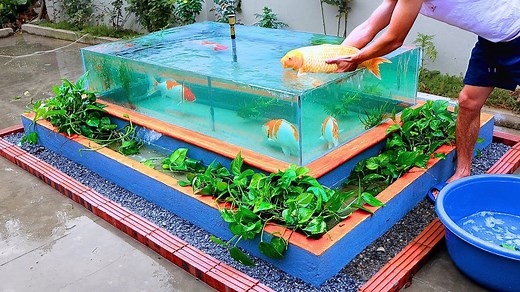 DIY koi pond with stunning glass view