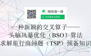 一种新颖的交叉算子——头脑风暴优化（BSO）算法求解旅行商问题（TSP）预备知识