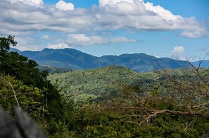 New DENR office formed to create physical baseline of PH natural resources | ABS-CBN News