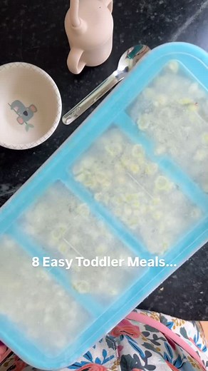 416K views · 9.5K reactions | Easy Toddler Meals that work GREAT to freeze and serve again! I love this sort of cooking since you can cook once and have many easy meals for future days/weeks (without worrying about waste!). ⠀⠀⠀⠀⠀⠀⠀⠀⠀ Comment RECIPES to have these sent your way! ⠀⠀⠀⠀⠀⠀⠀⠀⠀ https://www.yummytoddlerfood.com/easy-freezer-meals-for-families/ ⠀⠀⠀⠀⠀⠀⠀⠀⠀ #toddlerfood #easycooking #toddlers #babyfood | Yummy Toddler Food | Facebook
