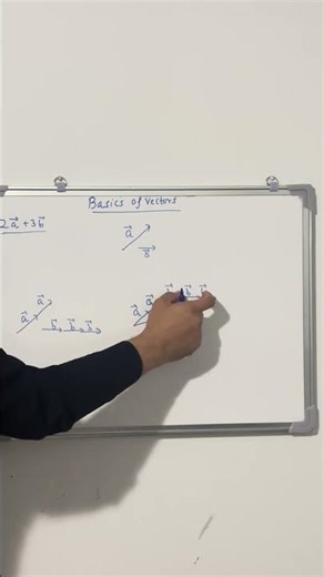 Basics of Vector