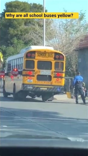 Why School Buses Are Yellow ! #facts #mrroch