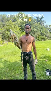 Best Caption! // Please Like And Follow For More #wildlifephotography #wildlife #championtheiguanaking #explore #exotic #iguana #explorepage #hunting #instagram #facebook #viral #trinding #fyp #bviral #onlyindade #lolflorida #onlyinflorida #spidey #outdoors #onlyinbroward #hunting_the_wild #trinidad #belize #gayana #roatan #caymanislands #honduras🇭🇳 | Champion BrooksWebster