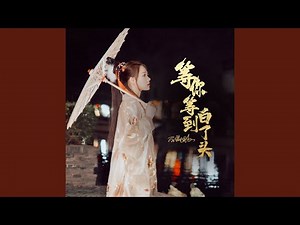 等你等到白了头