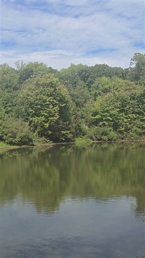 Senic Pond Overlook