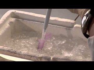 Comet Assay Stage 5: Incubation with Enzymes