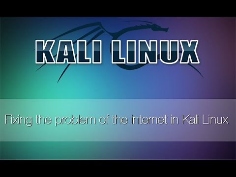 Fixing the problem of the internet on Kali Linux